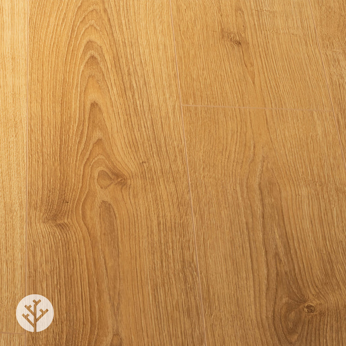 Glenmore Light Oak Laminate Flooring | WVH®