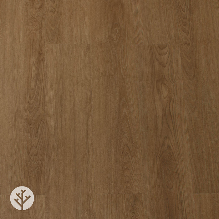 Warm Oak LVT Flooring | WVH®